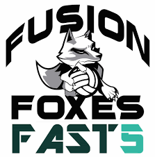 Image result for Foxes Netball Club