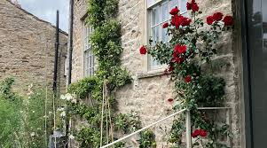 Image result for Swaledale Outdoor Club