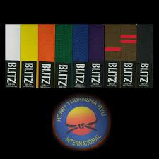 Image result for Ronin Yudansha Ryu