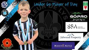 Image result for Fleur De Lys Football Club