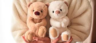 Image result for テディ