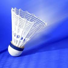 Image result for Lingwood (Norfolk) Badminton Club