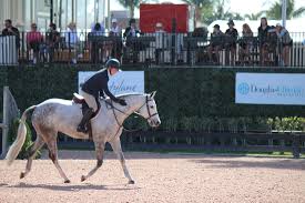 Image result for Palmers Riding Stables