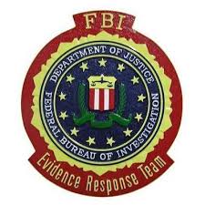 Image result for fbi seal