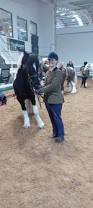 Image result for Lakes Riding Club