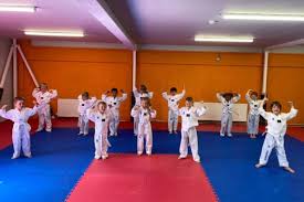 Image result for Mirfield Martial Arts Club