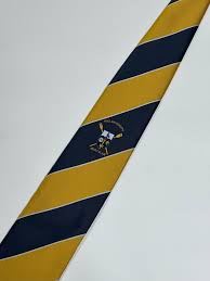 Image result for Hull University Students Badminton Club