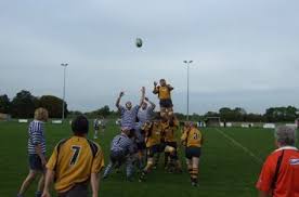 Image result for Halifax Vandals Rugby Union Football Club