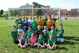 Image result for Wolfe Tones Gaelic Athletic Club