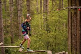 Image result for Go Ape! Whinlatter