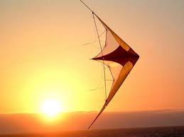 http://t0.gstatic.com/images?q=tbn:ANd9GcT2plH937nkTcyDRy47Ed4Ts5f5Fh0iyuMlxrHBDkPZLaeIZ_aaPg