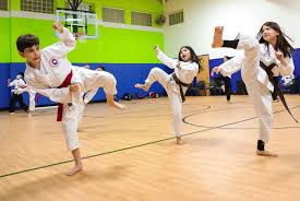 Image result for COMBAT TAEKWONDO