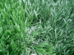 Image result for Astroturf
