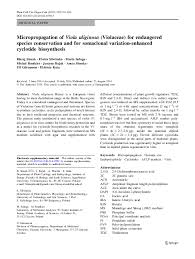 Attēlu rezultāti vaicājumam “Viola uliginosa bud”