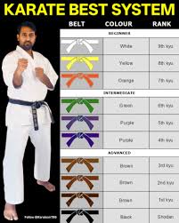 Image result for Alleyn School Of Japanese Karate