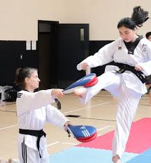 Image result for Invertay Taekwondo Club