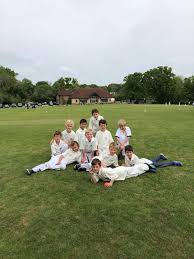 Image result for Worplesdon & Burpham Cricket Club