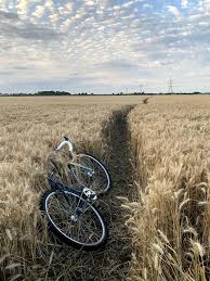 Image result for Fenland Flyers