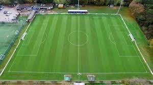 Image result for Welwyn Garden City Panshanger Football Club