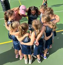 Image result for Henley Netball Club