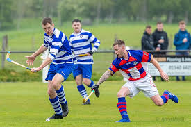 Image result for World of Shinty