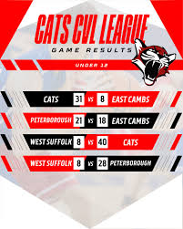 Image result for Cambridge Cats Basketball Club