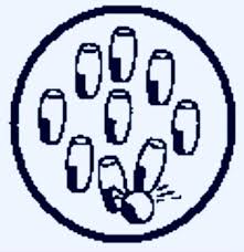 Image result for Bere Regis Skittles Club