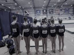 Image result for North Devon Display Gymnastics Club