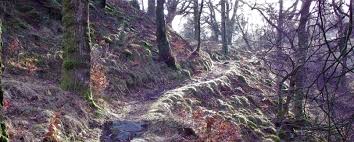 Image result for Dunfermline Rambling Club