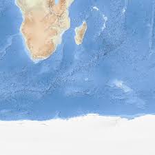 Image result for Sterna acuflavida