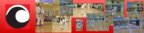 Image result for Dujon Tae Kwon Do