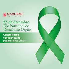 Image result for doação de órgãos