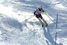 Image result for Tyneside Loipers