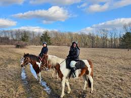 Image result for Patchett`s Green Riding Club
