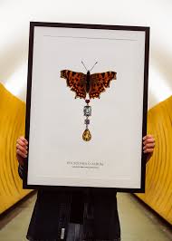 Attēlu rezultāti vaicājumam “Polygonia c-album”