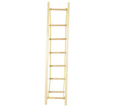 Image result for PONT DE SINGE