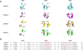 Image result for HTRPC