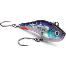 Image result for Sarda sarda