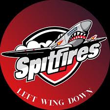 Image result for Hampshire Spitfires Finswimming Club