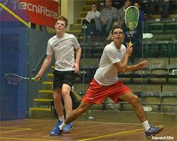 Image result for Abbeydale Park Junior Badminton Club