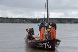 Image result for Byfleet Angling Association