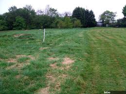 Image result for Canons Brook Golf Club Ltd