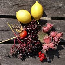 Attēlu rezultāti vaicājumam “Rubus illecebrosus fruit”