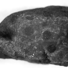 Attēlu rezultāti vaicājumam “Hildenbrandia rivularis”