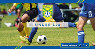 Image result for Chilcompton Netball Club