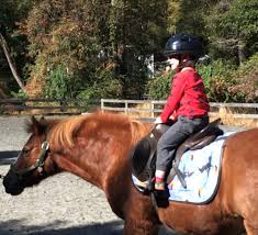 Image result for Huntingdon and District Riding Club