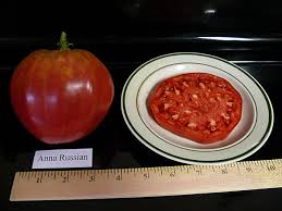 Afbeeldingsresultaat voor anna russian tomato