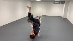 Image result for TRIANGLE CHANGQUAN FLYING DRAGON