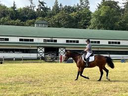 Image result for Lakes Riding Club