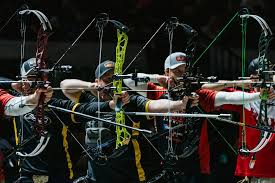 Image result for Frome Valley Archers